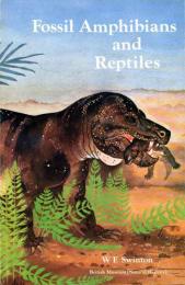 Fossil Amphibians and Reptiles