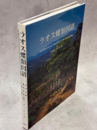 ラオス蝶類図譜