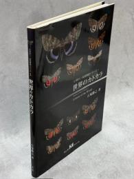 世界のカトカラ