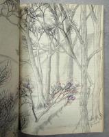 スーパー採卵術