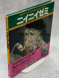 ニイニイゼミ