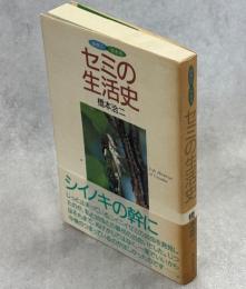 セミの生活史