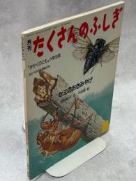 セミのおきみやげ