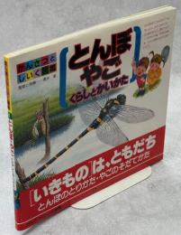 とんぼ・やご : くらしとかいかた