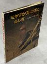 ミヤマカワトンボのふしぎ