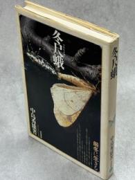 冬尺蛾 : 厳冬に生きる