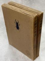 日本の甲虫　正続揃