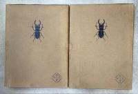 日本の甲虫　正続揃