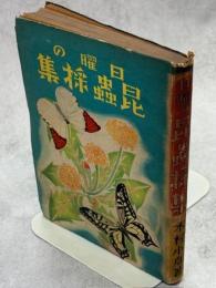 日曜の昆虫採集