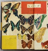 理科の学習　虫の世界の図書館