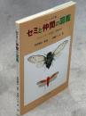 セミと仲間の図鑑 : カメムシ目頸吻亜目