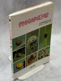 テントウムシの調べ方