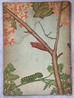 六つあしのなかま