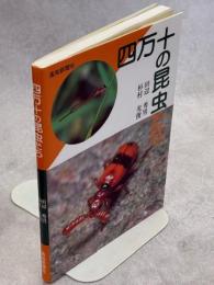 四万十の昆虫たち