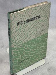 接写と顕微鏡写真