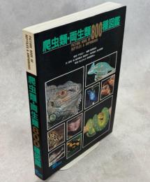 爬虫類・両生類800種図鑑