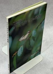 "1994"イシガケチョウの飛翔