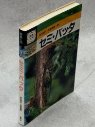 検索入門セミ・バッタ