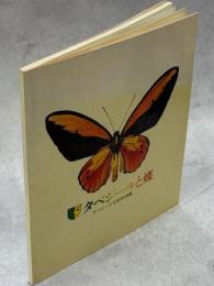 タベジールと蝶