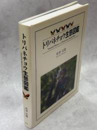 トリバネチョウ生態図鑑