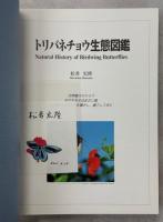 トリバネチョウ生態図鑑