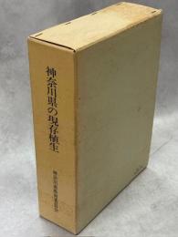 神奈川県の現存植生