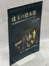 珠玉の標本箱　日本産蝶類標本写真およびデータベース