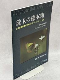 珠玉の標本箱 日本産蝶類標本写真およびデータベース(25)シロチョウ科③ミヤマモンキチョウ・モンキチョウ