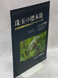 珠玉の標本箱 日本産蝶類標本写真およびデータベース(15)ジャノメチョウ亜科②ウラナミジャノメ・ヒメウラナミジャノメ・リュウキュウウラナミジャノメ・マサキウラナミジャノメ・ヤエヤマウラナミジャノメ