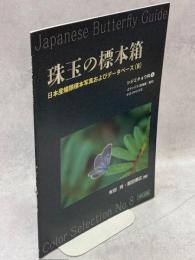 珠玉の標本箱 日本産蝶類標本写真およびデータベース(8)シジミチョウ科⑥ゴマシジミ(北海道・東北)・オオゴマシジミ