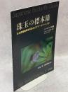 珠玉の標本箱 日本産蝶類標本写真およびデータベース(8)シジミチョウ科⑥ゴマシジミ(北海道・東北)・オオゴマシジミ