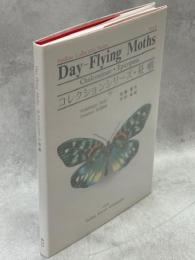 コレクションシリーズ　昼蛾