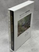 私のラオス蝶類図譜