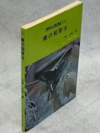 蝶の飼育法