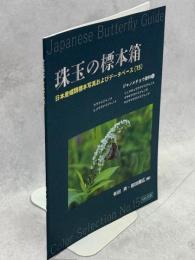 珠玉の標本箱 日本産蝶類標本写真およびデータベース(15)ジャノメチョウ亜科②ウラナミジャノメ・ヒメウラナミジャノメ・リュウキュウウラナミジャノメ・マサキウラナミジャノメ・ヤエヤマウラナミジャノメ