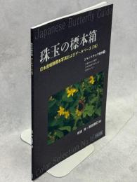 珠玉の標本箱 日本産蝶類標本写真およびデータベース(16)ジャノメチョウ亜科③クモマベニヒカゲ・ツマジロウラジャノメ・ウラジャノメ
