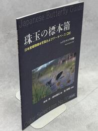 珠玉の標本箱 日本産蝶類標本写真およびデータベース(20)シジミチョウ科⑪クロツバメシジミ