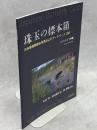 珠玉の標本箱 日本産蝶類標本写真およびデータベース(20)シジミチョウ科⑪クロツバメシジミ