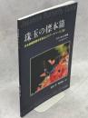 珠玉の標本箱 日本産蝶類標本写真およびデータベース(28)アゲハチョウ科⑧ミヤマカラスアゲハ　