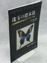 珠玉の標本箱 日本産蝶類標本写真およびデータベース(26)アゲハチョウ科⑥日本列島孤島嶼のアキリデス　カラスアゲハ1