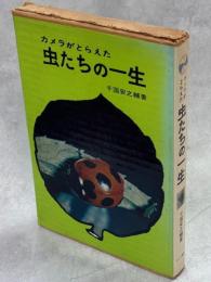 カメラがとらえた虫たちの一生