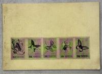 私の博物記　台湾に虫を訪ねて