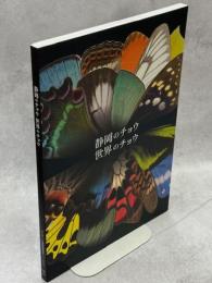 静岡のチョウ　世界のチョウ