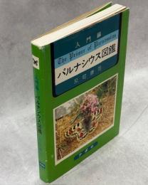 入門編パルナシウス図鑑