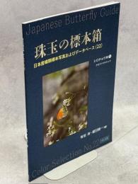 珠玉の標本箱 日本産蝶類標本写真およびデータベース(22)シロチョウ科①クモマツマキチョウ