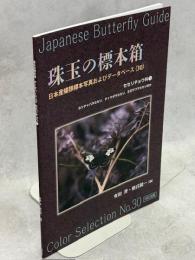 珠玉の標本箱 日本産蝶類標本写真およびデータベース(30)セセリチョウ科①ホシチャバネセセリ、チャマダラセセリ、オガサワラセセリほか
