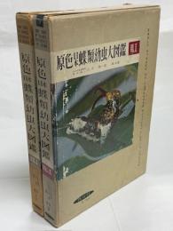 原色日本蝶類幼虫大図鑑