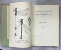 A Morphological Study of a Relic Dragonfly Epiophlebia superstes Selys (Odonata, Anisozygoptera)