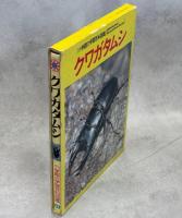 クワガタムシ