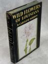 Wild Flowers of Louisiana